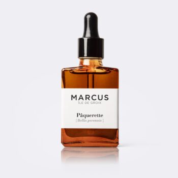 Packshot de Marcus, photo de la marque de produits locaux sur l'île de Groix avec une pâquerette en avant-plan.